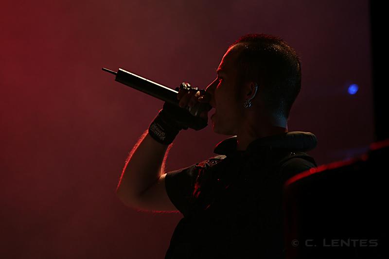 IMG_3631.jpg