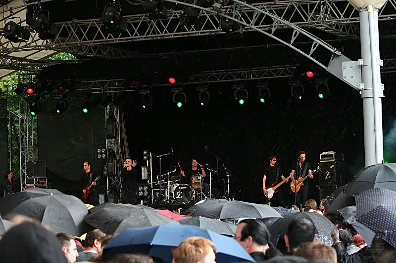 IMG_3729.jpg