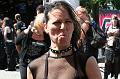 IMG_3537